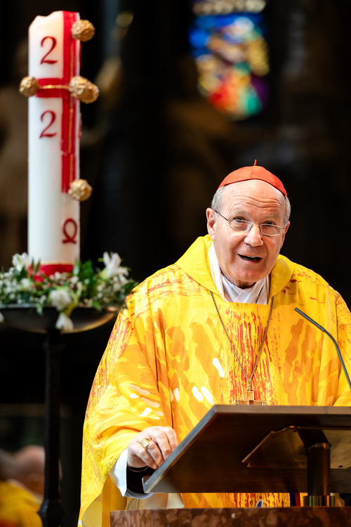 Priesterjubiläen / Erzdiözese Wien/Schönlaub