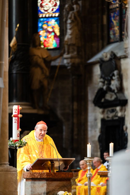 Priesterjubiläen / Erzdiözese Wien/Schönlaub