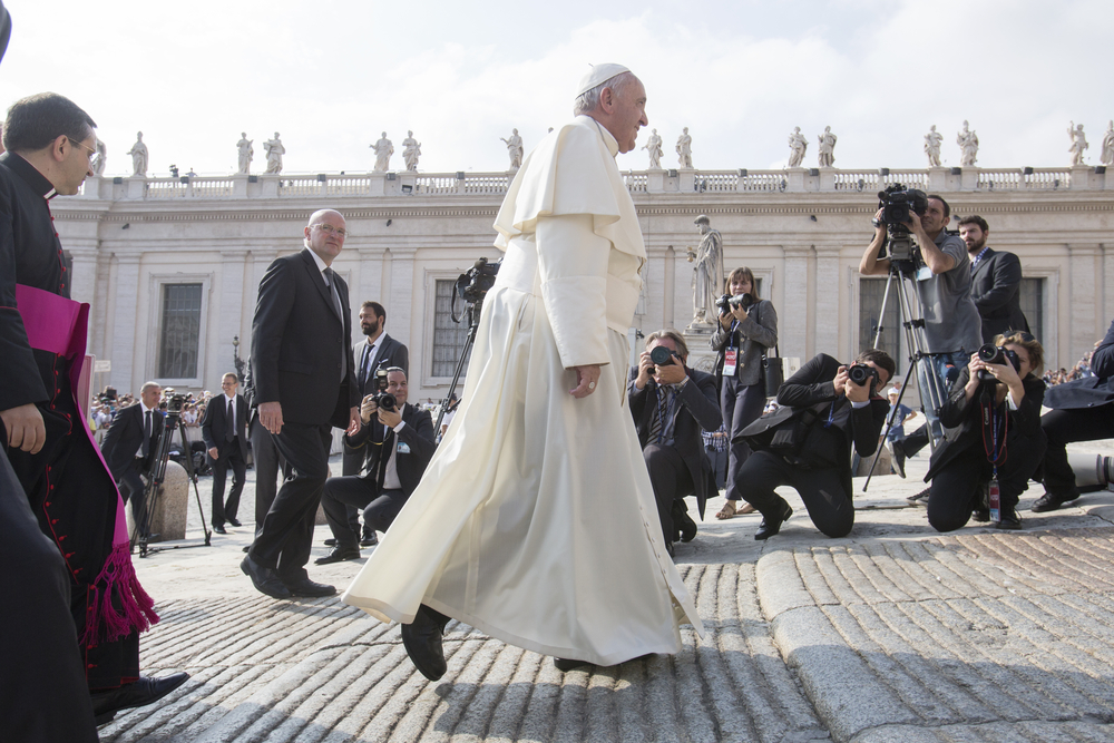 Papst Franziskus im Vatikan